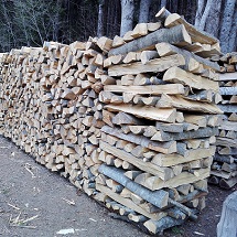 Foresta-legno-energia